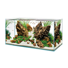 Load image into Gallery viewer, OASE ScaperLine Aquarium Tank

